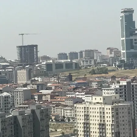 Suguen *